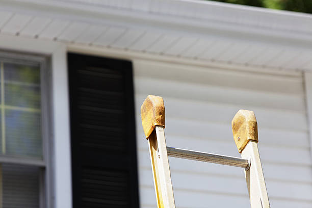 Best Custom Trim and Detailing for Siding  in Tropical Park, FL